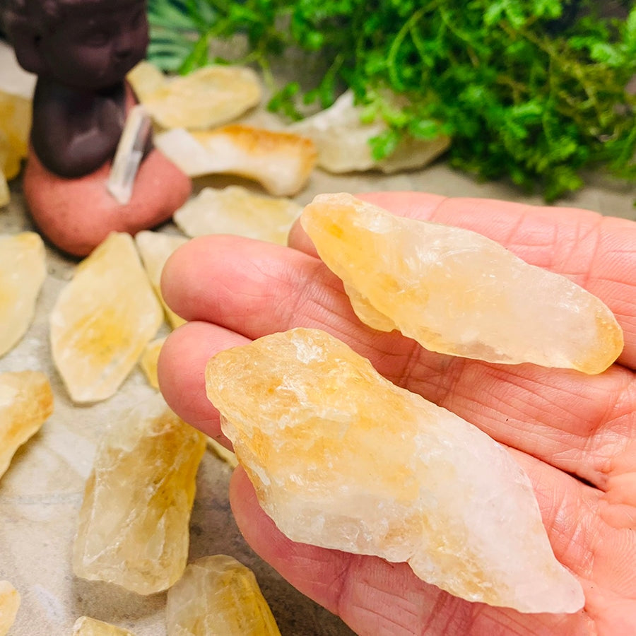 Rough Citrine Shards