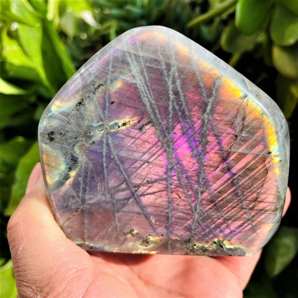 Purple Flash Labradorite Freeform (Item #0006)