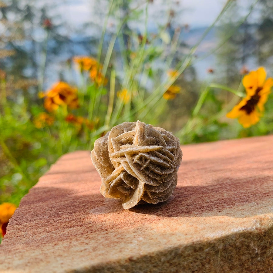 Desert Rose Specimen