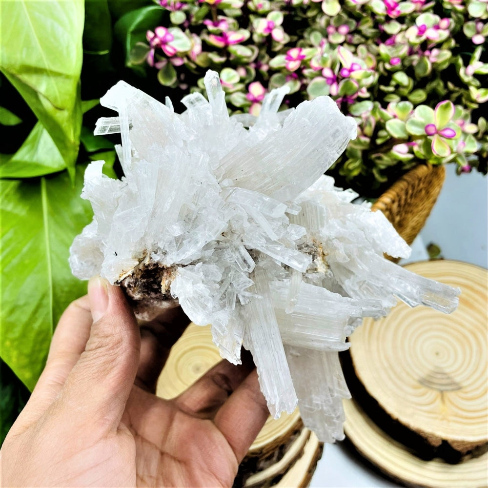 Large Selenite Cluster (Item #0024)