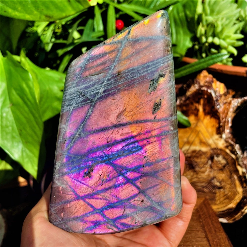 Large (1.87 lbs) Purple Flash Labradorite Freeform (Item #0064)