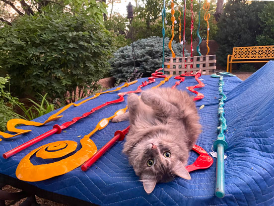 A cat laying on a table with Single Bloom steel sculptures.