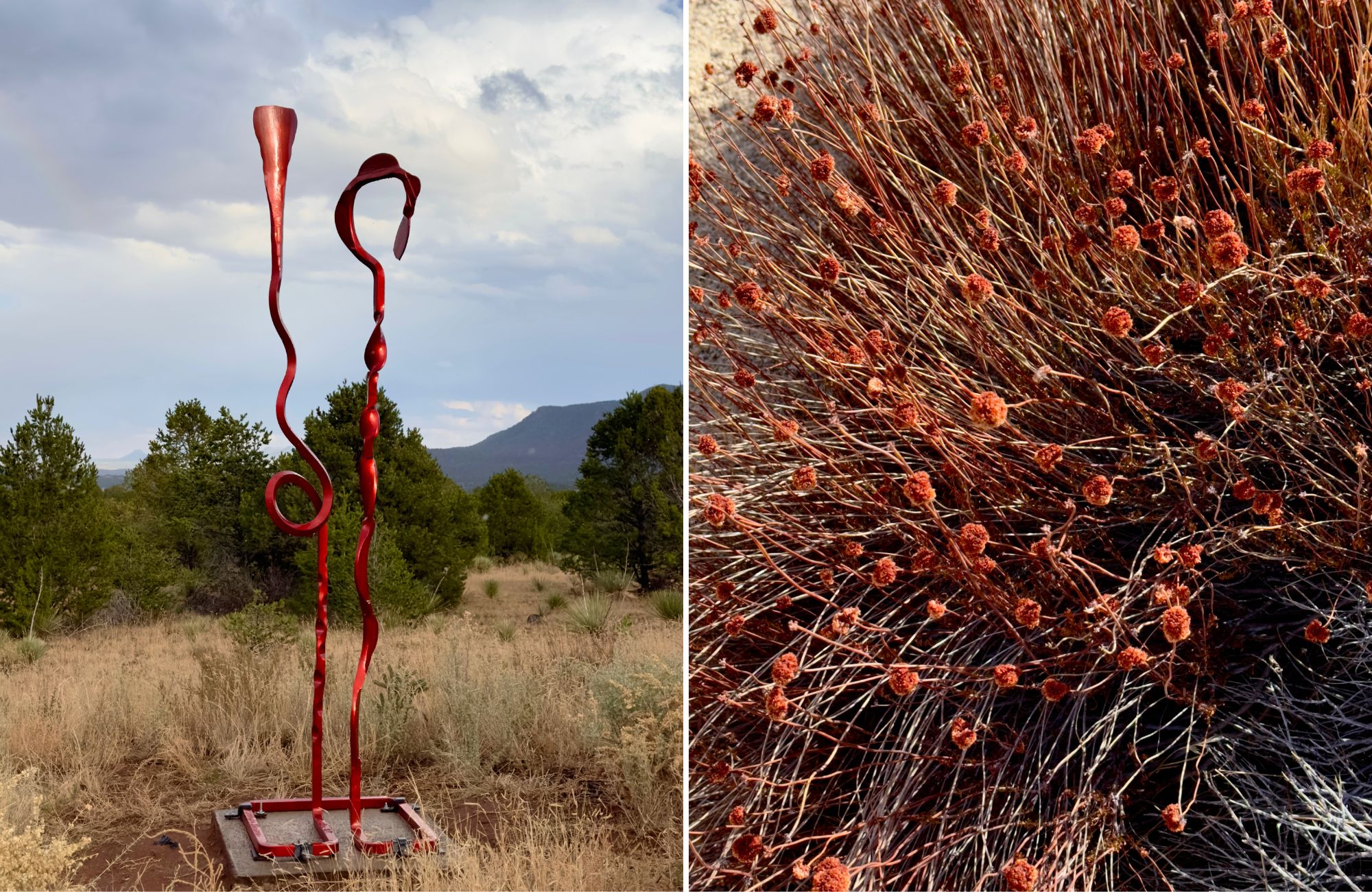 Red copper sculpture and red Mexican sunflowers.